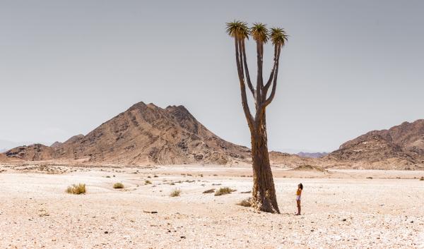 Ai-Ais Richtersveld Transfrontier Park - 206958