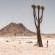 Ai-Ais Richtersveld Transfrontier Park - 206958
