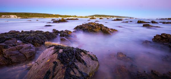 Agulhas National Park - 207069