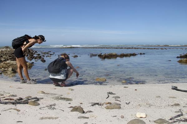 Agulhas National Park - 207073