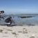 Agulhas National Park - 207073