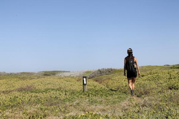 Agulhas National Park - 207075
