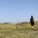 Agulhas National Park - 207075