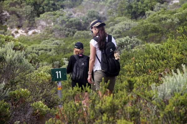 Agulhas National Park - 207079