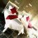 Hadida Guesthouse - 207135