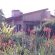 Ama Casa Cottages - 207172