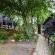 Highlands Lodge Mountain Retreat - 207306