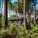 Highlands Lodge Mountain Retreat - 207330
