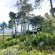 Highlands Lodge Mountain Retreat - 207334