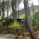 Highlands Lodge Mountain Retreat - 207341