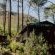 Highlands Lodge Mountain Retreat - 207349