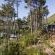 Highlands Lodge Mountain Retreat - 207379