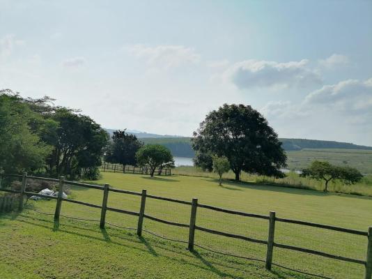 Shingalana White River - 207396
