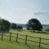 Shingalana White River - 207396