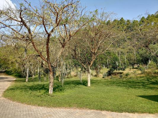 Shingalana White River - 207398