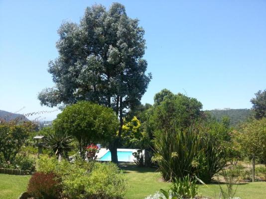 Piesang Valley Lodge - 207462