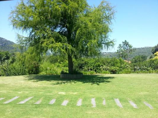 Piesang Valley Lodge - 207465