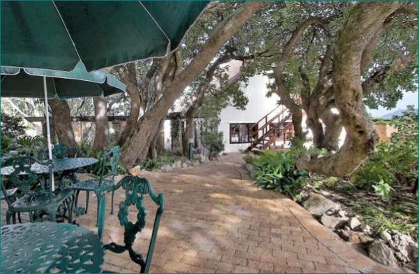 Milkwood Lodge - 207555