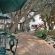 Milkwood Lodge - 207555