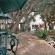 Milkwood Lodge - 207555