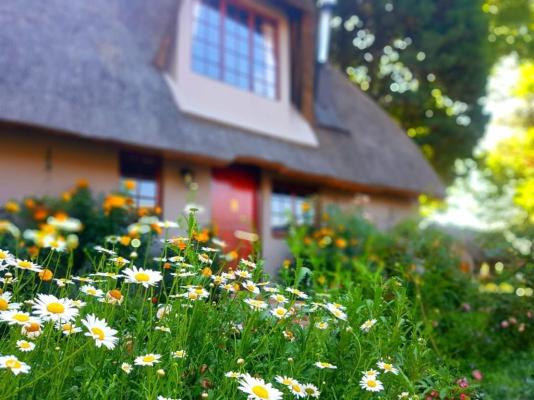 Granny Mouse Country House & Spa - 207580
