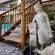 The Wood House - 207604