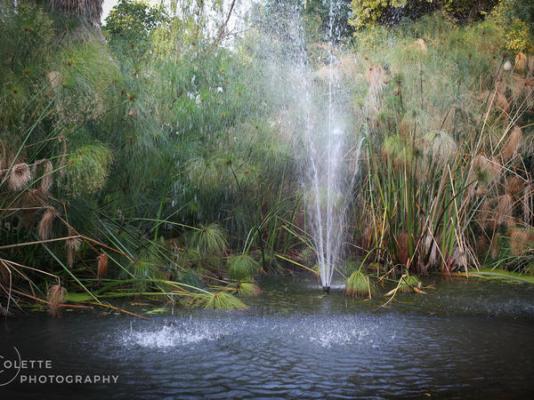 African Vineyard Boutique Hotel and Spa - 207680