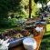 African Vineyard Boutique Hotel and Spa - 207682
