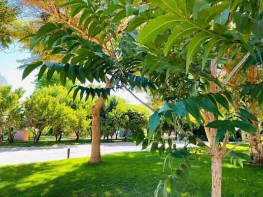 African Vineyard Boutique Hotel and Spa - 207686