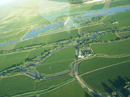 African Vineyard Boutique Hotel and Spa - 207689