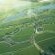 African Vineyard Boutique Hotel and Spa - 207689