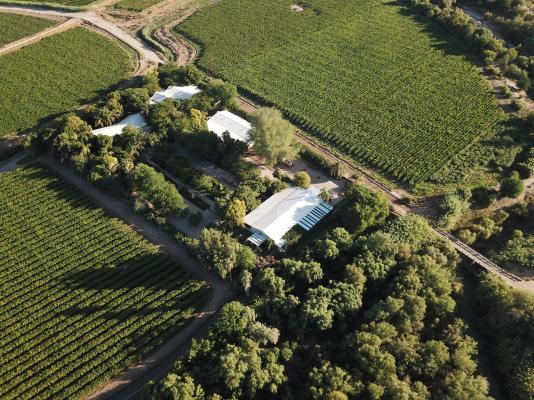 African Vineyard Boutique Hotel and Spa - 207695