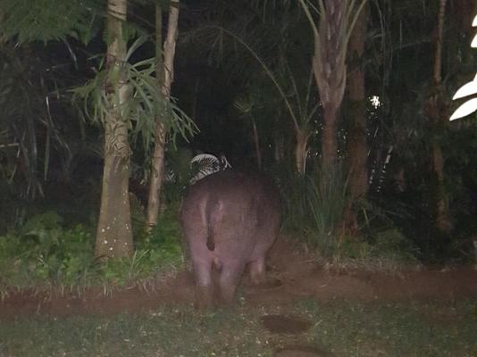 Lake St Lucia Lodge - 207805