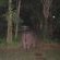 Lake St Lucia Lodge - 207805