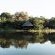Tzaneen Country Lodge - 207857