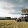 Tzaneen Country Lodge - 207858