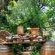 Tzaneen Country Lodge - 207862