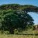 Gooderson Bushlands Game Lodge - 208262