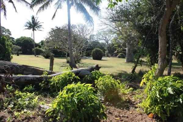 Gooderson Bushlands Game Lodge - 208266