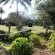 Gooderson Bushlands Game Lodge - 208266