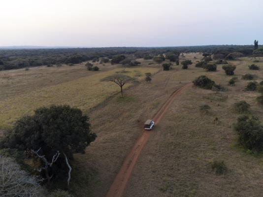 Gooderson Bushlands Game Lodge - 208279
