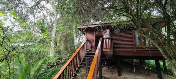 Umlalazi Nature Resort - 208315