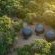 Gooderson Dumazulu Lodge & Traditional Village - 208361