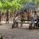 Gooderson Dumazulu Lodge & Traditional Village - 208374