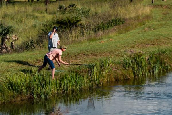 Gooderson Drakensberg Gardens & Golf & Spa Resort - 208577
