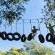Gooderson Drakensberg Gardens & Golf & Spa Resort - 208581