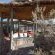 Desert Homestead Lodge - 208636