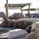 Desert Homestead Lodge - 208642
