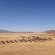Desert Homestead Lodge - 208644