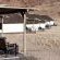 Desert Homestead Lodge - 208650